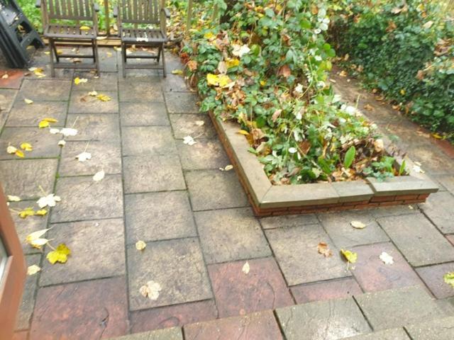 2 Bed Garden Flat West Dulwich Free Street Parking Lägenhet London Exteriör bild